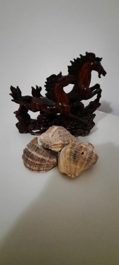 Apartament Clara Permet Appartement Buitenkant foto